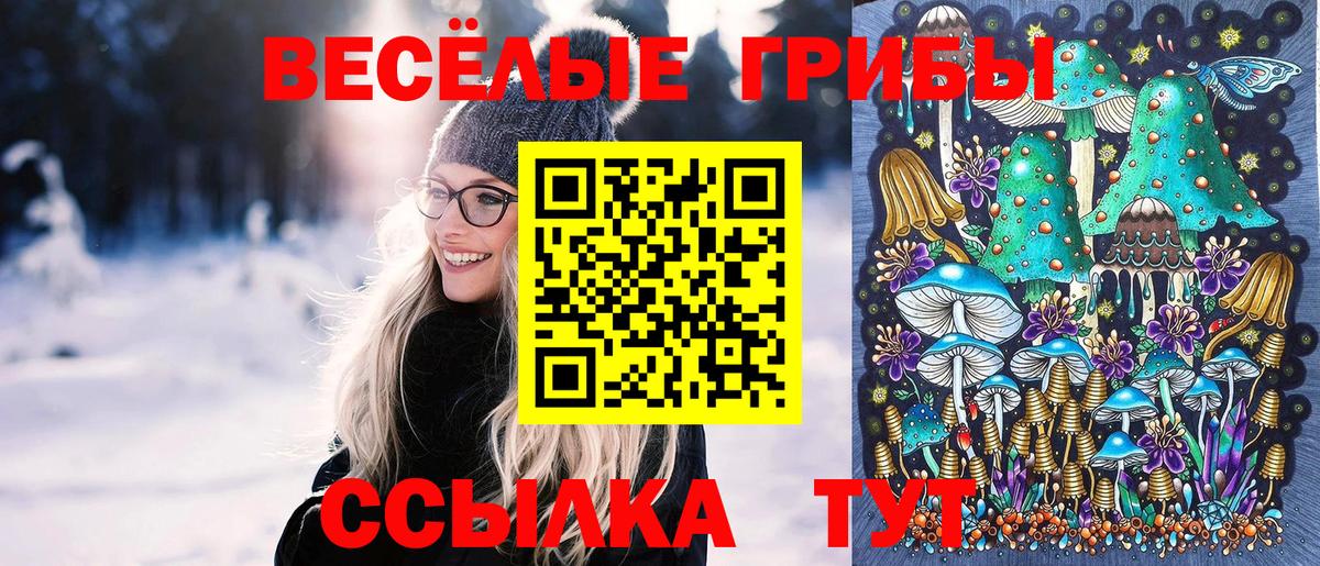 Псилоцибиновые грибы Psilocybine cubensis  Псилоцибиновые грибы GOLDEN TEACHER  Вход с VPN  Елабуга 